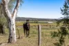 1005 Upper Wheatvale Road, Upper Wheatvale, Qld 4370-Image