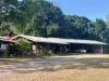 1006 Giru-Woodstock Road, Mount Surround, Qld 4809-Image