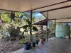 1006 Giru-Woodstock Road, Mount Surround, Qld 4809-Image
