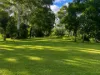 1006 Giru-Woodstock Road, Mount Surround, Qld 4809-Image