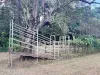 1006 Giru-Woodstock Road, Mount Surround, Qld 4809-Image