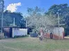 1006 Giru-Woodstock Road, Mount Surround, Qld 4809-Image