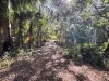 1006 Giru-Woodstock Road, Mount Surround, Qld 4809-Image