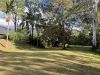 1006 Giru-Woodstock Road, Mount Surround, Qld 4809-Image