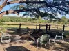 1006 Giru-Woodstock Road, Mount Surround, Qld 4809-Image