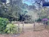 1006 Giru-Woodstock Road, Mount Surround, Qld 4809-Image