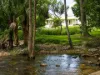 1006 Giru-Woodstock Road, Mount Surround, Qld 4809-Image
