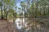 101-107 Condamine Drive, Logan Village, Qld 4207-Image