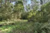 101-107 Condamine Drive, Logan Village, Qld 4207-Image