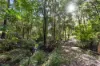 101-107 Condamine Drive, Logan Village, Qld 4207-Image