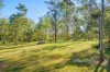 101 Arranbee Road, King Creek, NSW 2446-Image