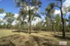 101 Lakes Drive, Laidley Heights, Qld 4341-Image