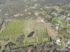 101 Siding Road, Beecher, Qld 4680-Image
