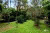 101 Smiths Creek Road, Uki, NSW 2484-Image
