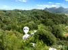 101 Smiths Creek Road, Uki, NSW 2484-Image