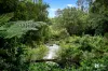 101 Smiths Creek Road, Uki, NSW 2484-Image