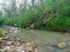 1018 Kellevie Road, Kellevie, Tas 7176-Image