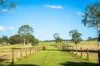 102-162 Cedar Creek Road, Belli Park, Qld 4562-Image