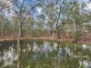 102  Milora Road, Upper Lockyer, Qld 4352-Image