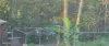 102  Milora Road, Upper Lockyer, Qld 4352-Image