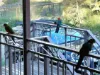 102  Milora Road, Upper Lockyer, Qld 4352-Image