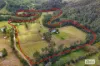 1020 Caparra Road, Caparra, NSW 2429-Image