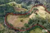 1020 Caparra Road, Caparra, NSW 2429-Image
