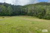 1020 Caparra Road, Caparra, NSW 2429-Image
