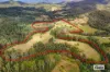 1020 Caparra Road, Caparra, NSW 2429-Image