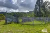 1020 Caparra Road, Caparra, NSW 2429-Image