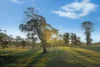 1020 Nowra Road, Fitzroy Falls, NSW 2577-Image