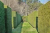 1020 Nowra Road, Fitzroy Falls, NSW 2577-Image