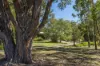 103 Royal Parade, Riddells Creek, Vic 3431-Image