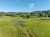1036 Jiggi Road, Jiggi, NSW 2480-Image