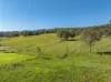 1036 Jiggi Road, Jiggi, NSW 2480-Image