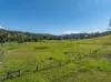 1036 Jiggi Road, Jiggi, NSW 2480-Image