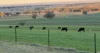 1036 Rob Roy Road, Inverell, NSW 2360