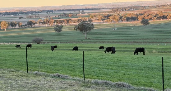 1036 Rob Roy Road, Inverell, NSW 2360