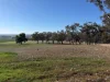 1036 Rob Roy Road, Inverell, NSW 2360-Image