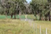 1036 Rob Roy Road, Inverell, NSW 2360-Image