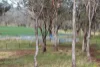 1036 Rob Roy Road, Inverell, NSW 2360-Image