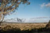 104 Peak Hill Road, Buckajo, NSW 2550-Image