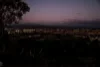 104 Peak Hill Road, Buckajo, NSW 2550-Image