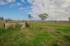 104 Sandalwood Avenue West, Dalby, Qld 4405-Image