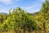 104 Wyuna Drive, Glastonbury, Qld 4570-Image