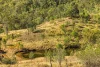 104 Wyuna Drive, Glastonbury, Qld 4570-Image