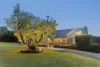 1049 Mornington-Flinders Road, Red Hill, Vic 3937