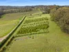 1049 Mornington-Flinders Road, Red Hill, Vic 3937-Image
