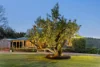 1049 Mornington-Flinders Road, Red Hill, Vic 3937-Image