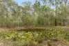 105-111 Buccan Road, Buccan, Qld 4207-Image